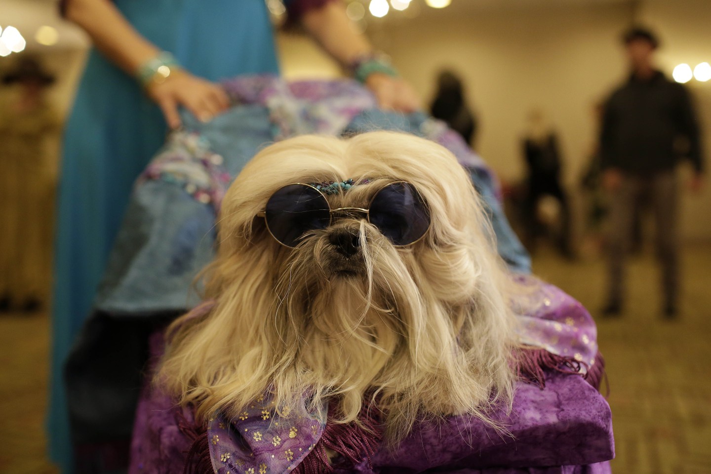 US-FASHION WEEK-PETS