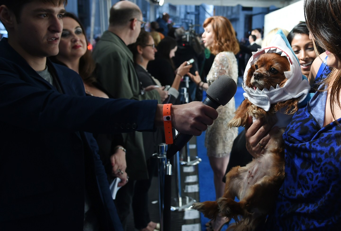 The 19th Annual Webby Awards - Arrivals