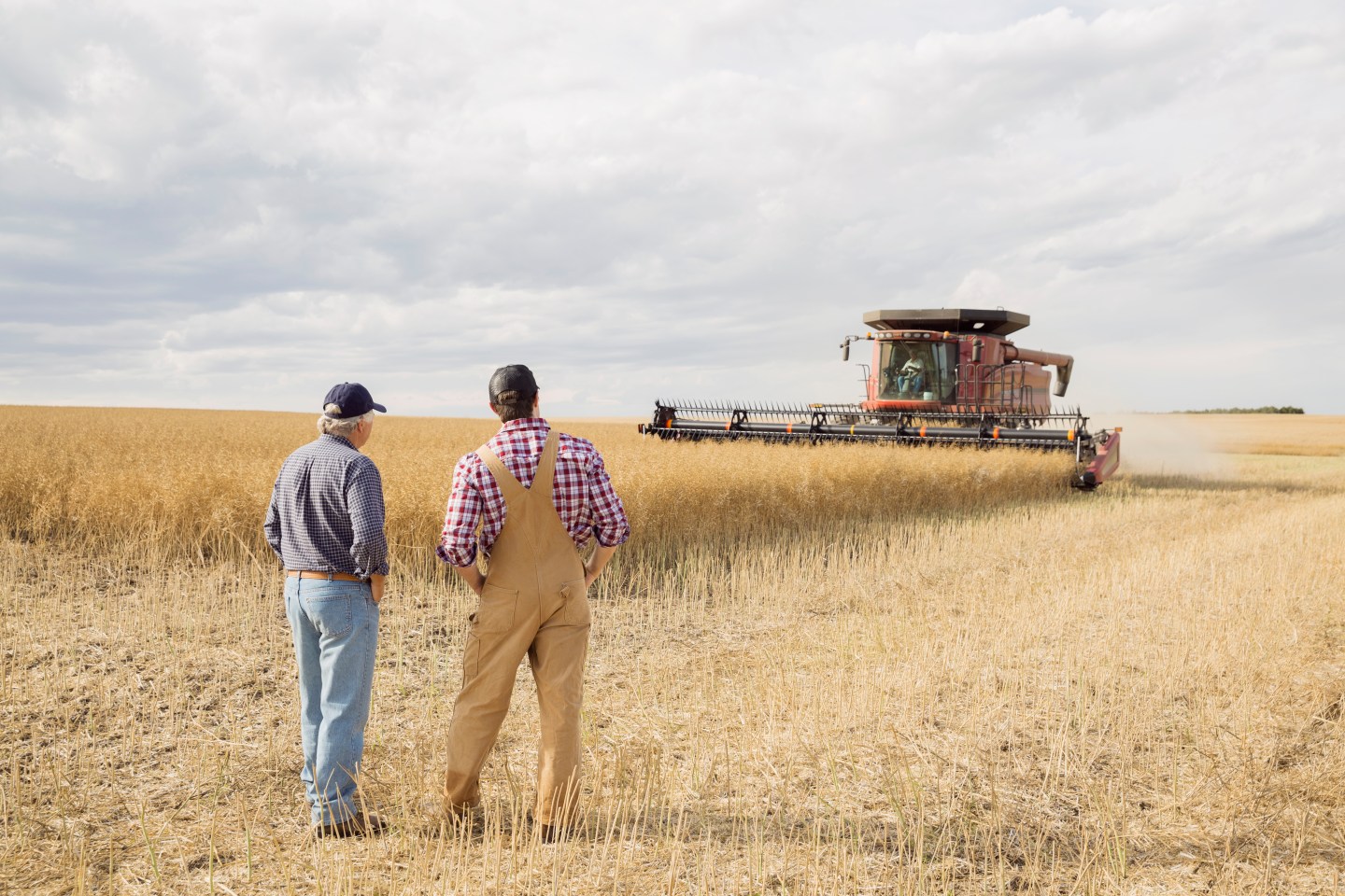 Farmers watching combine harvester in wheat field