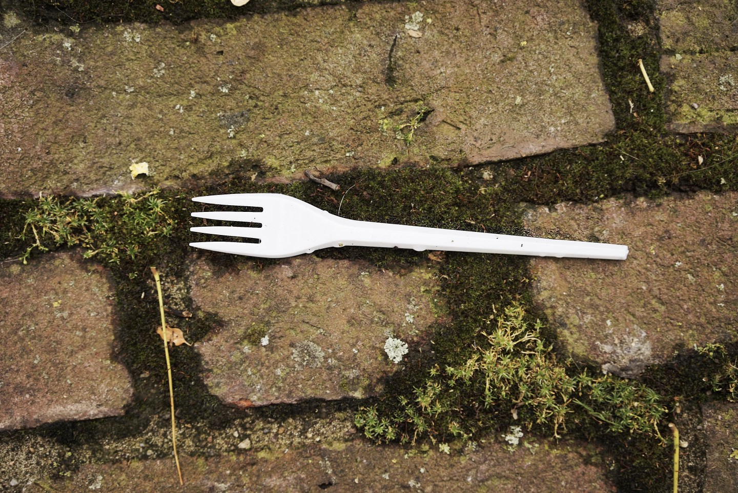 Plastic Fork On Cobblestones