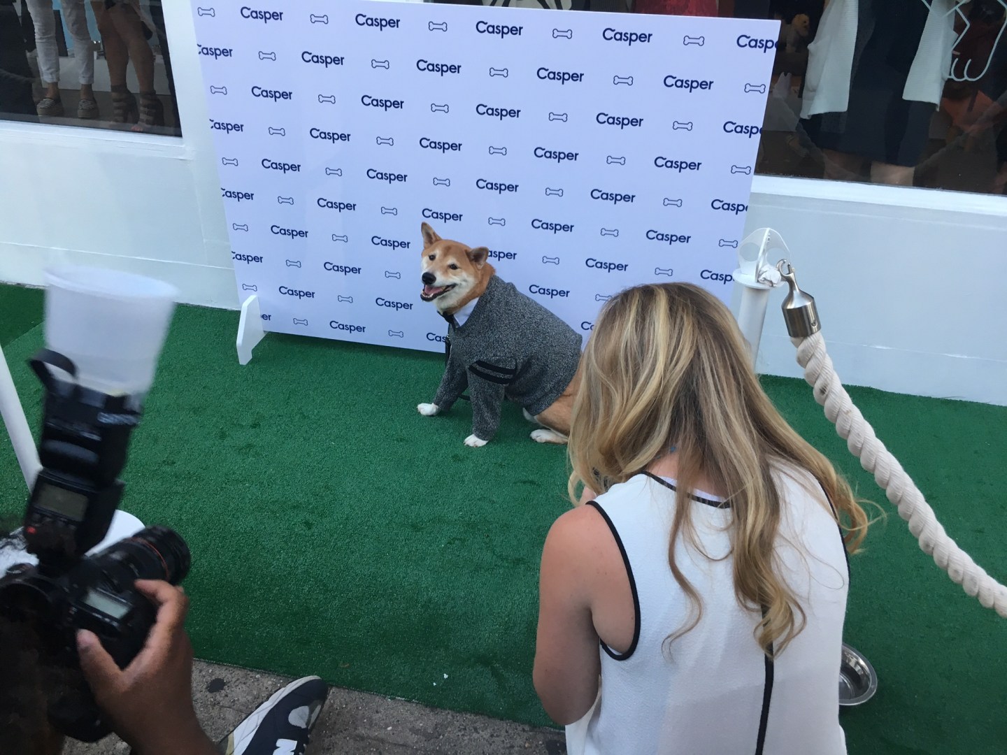 How the Internet’s Cuddliest Influencers Get Paid