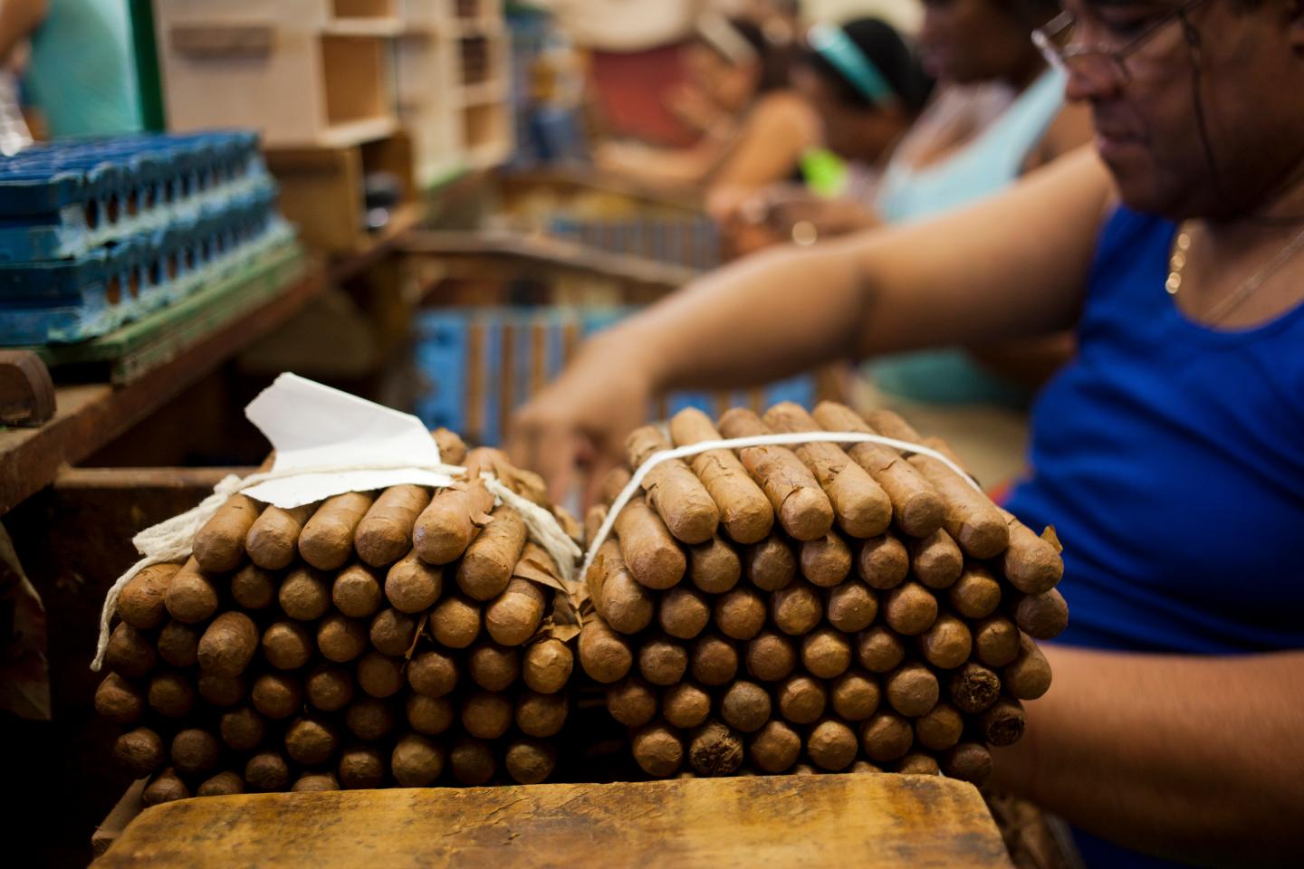 Cigar Production At The Tabacuba Factory As Exports To U.S. Still Banned