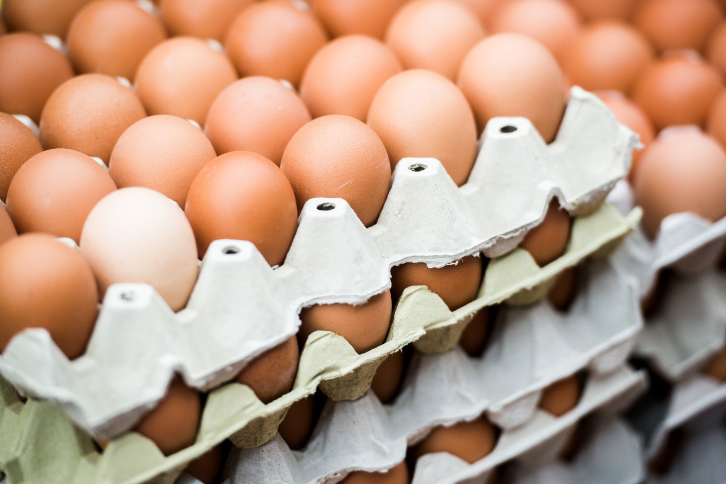 General Economy As Central Bank Holds Key Rate To Limit Economic Slowdown