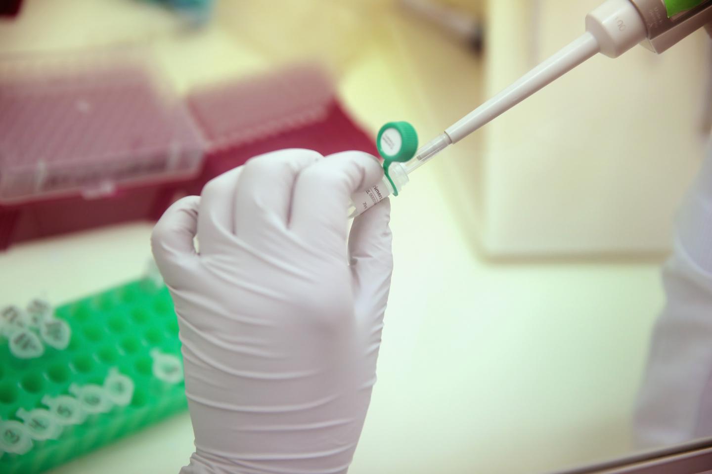 A vaccine for the Zika virus could come to market in as little as two years.