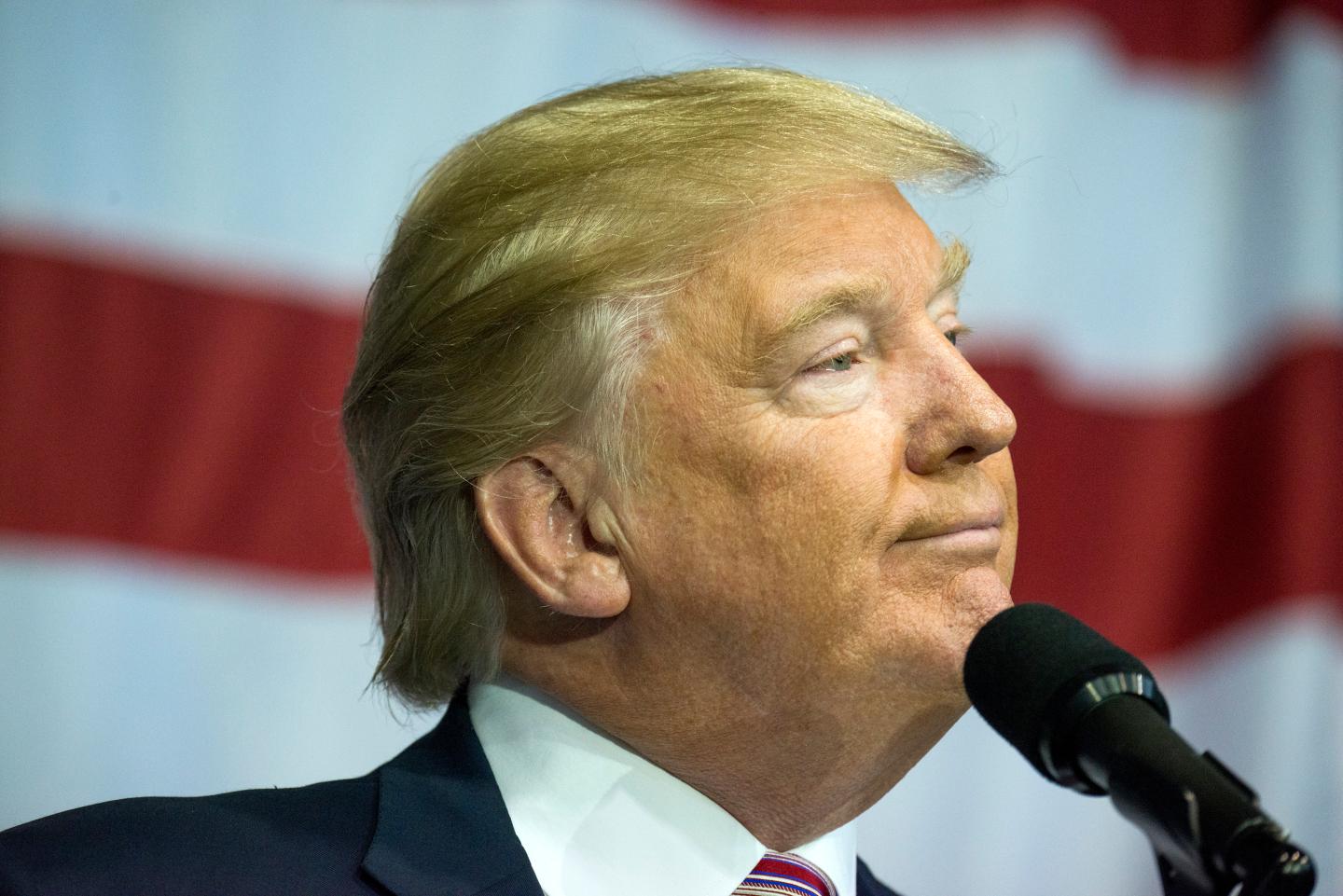 GOP Presidential Candidate Donald Trump Campaigns At Delaware County Fair In Ohio