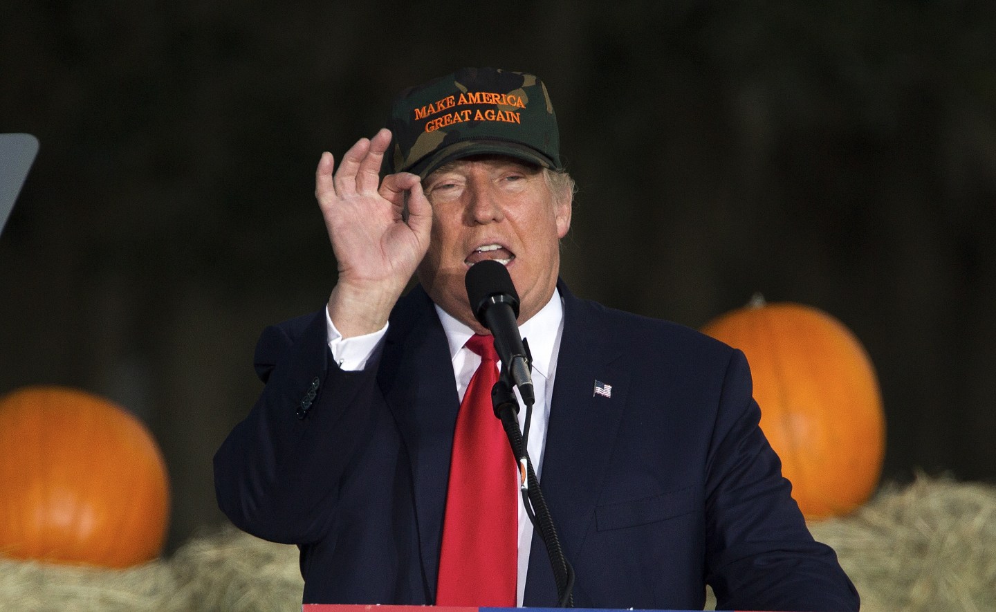 Republican presidential candidate Donald Trump speaks during a rally at the Antique Car Museum property on October 25, 2016 in Tallahassee, Florida.