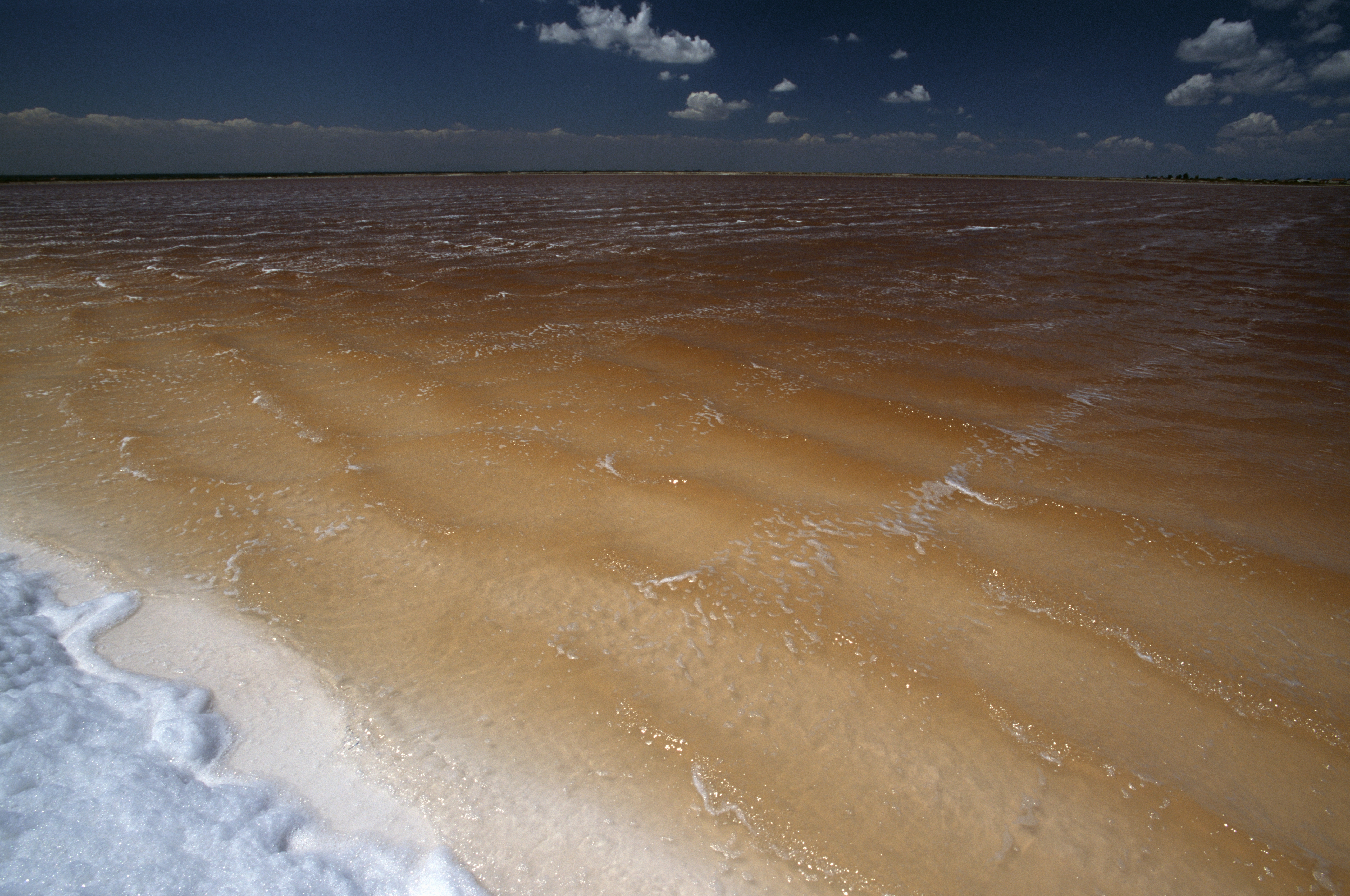 Foam created by strong wind at edges of salt ponds seen at dawn, Saltpans of Margherita di Savoia state naturalistic reserve, Apulia, Italy