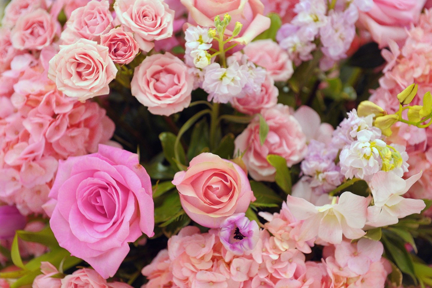 Ready, Set, Pink! Event At Bloomingdale's Bergen County