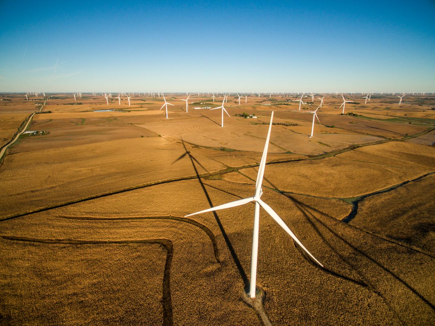 This Chart Shows How Quickly Wind Power Has Caught On