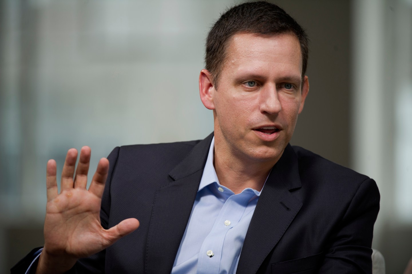 PayPal Inc. Co-Founder Peter Thiel Interview