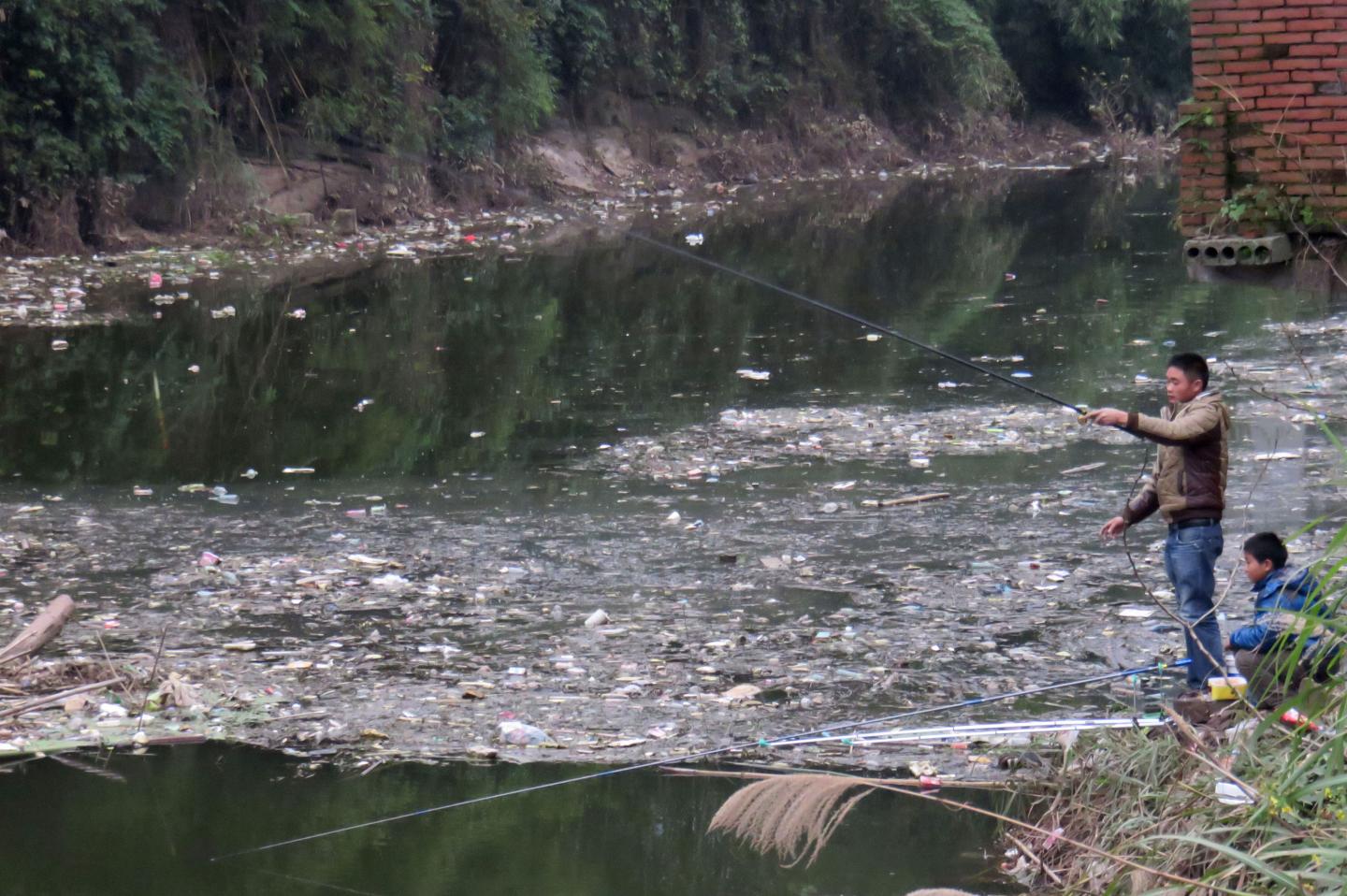 Serious Pollution Hits Reservoir In Chongqing