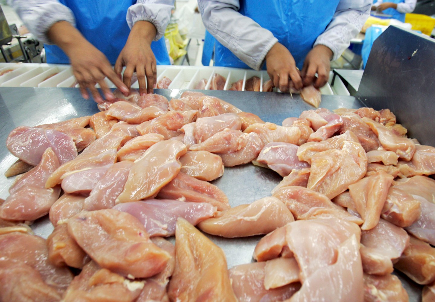 Concerns Over Bird Flu Continues To Effect Thailand's Chicken Industry