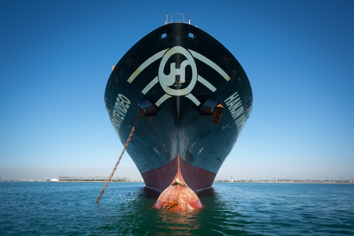 Hanjin Shipping Co.'s Container Ships In Port As Cargo Owners Say Bid To Unload Vessels Isn't WorkingThe Hanjin Montevideo cargo ship sits anchored off the Port of Long Beach in Long Beach, California, U.S., on Thursday, Sept. 15, 2016. Bankrupt Hanjin Shipping Co.'s efforts to unload vessels in the U.S. while it goes through bankruptcy in South Korea are meeting with complaints from cargo owners and from the companies that service and equip its fleet. Photographer: Tim Rue/Bloomberg via Getty Images