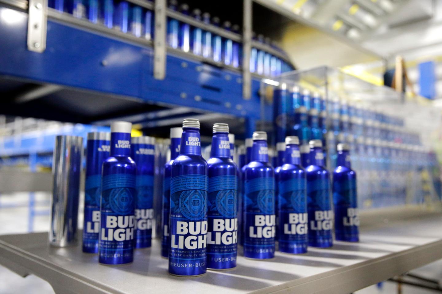 Aluminum Bottle Plant