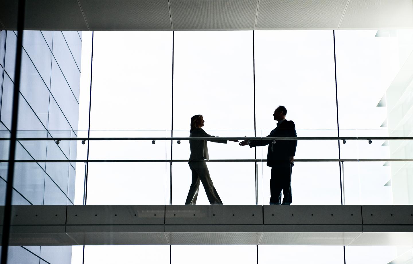 Businessman and woman shaking hands