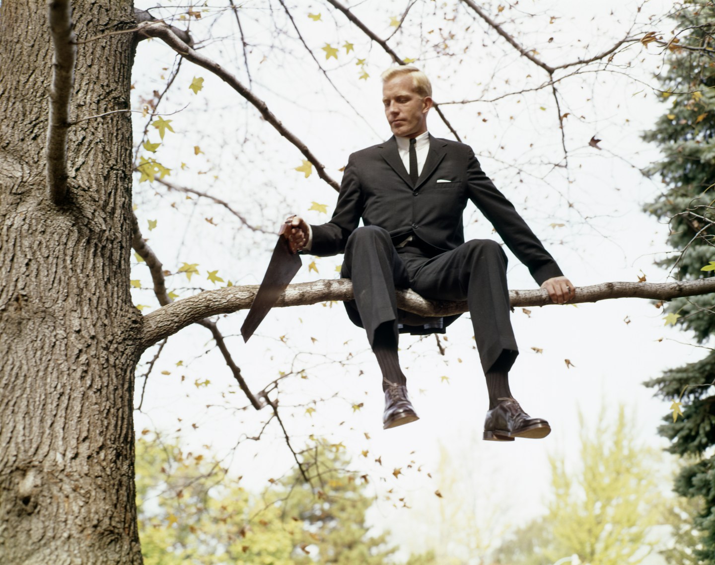 1960s BUSINESS MAN IN TREE...