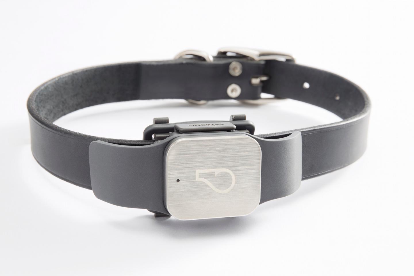 These Gadgets Could Help Keep Your Pets Healthy and Safe