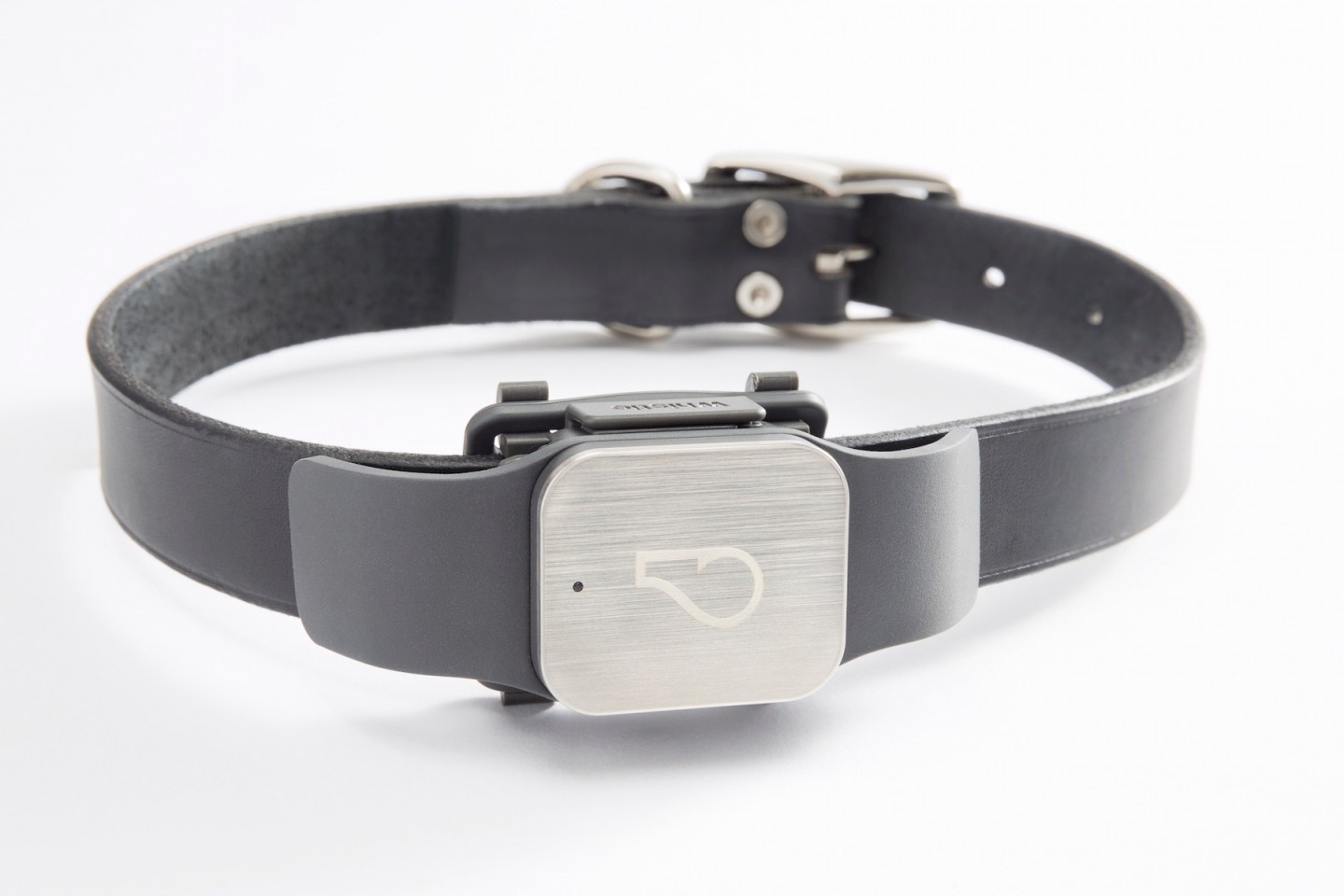 These Gadgets Could Help Keep Your Pets Healthy and Safe