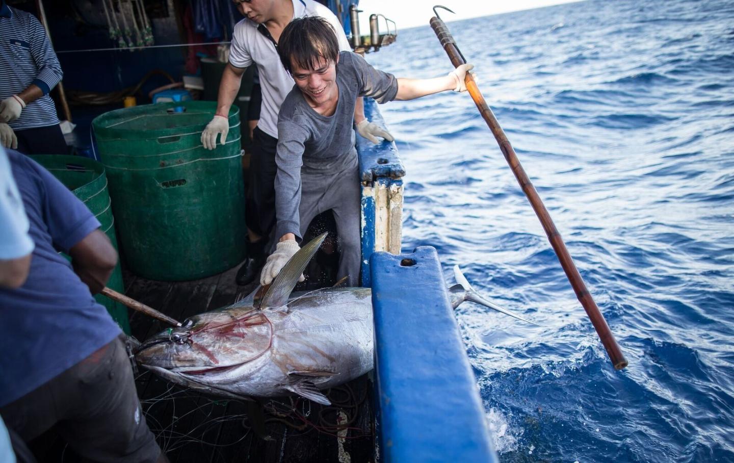 Fishing in Palau