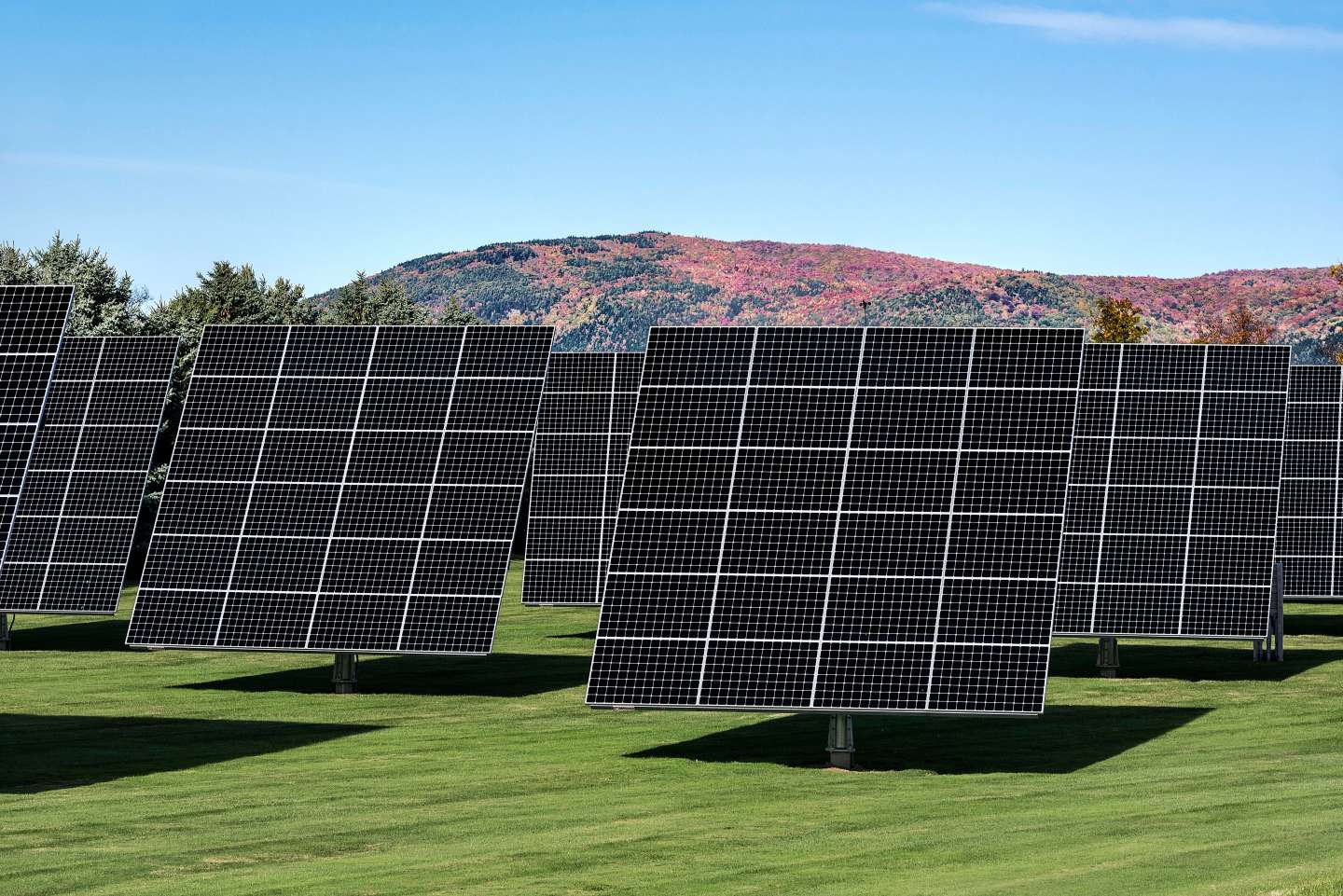 Solar panel array on solar farm