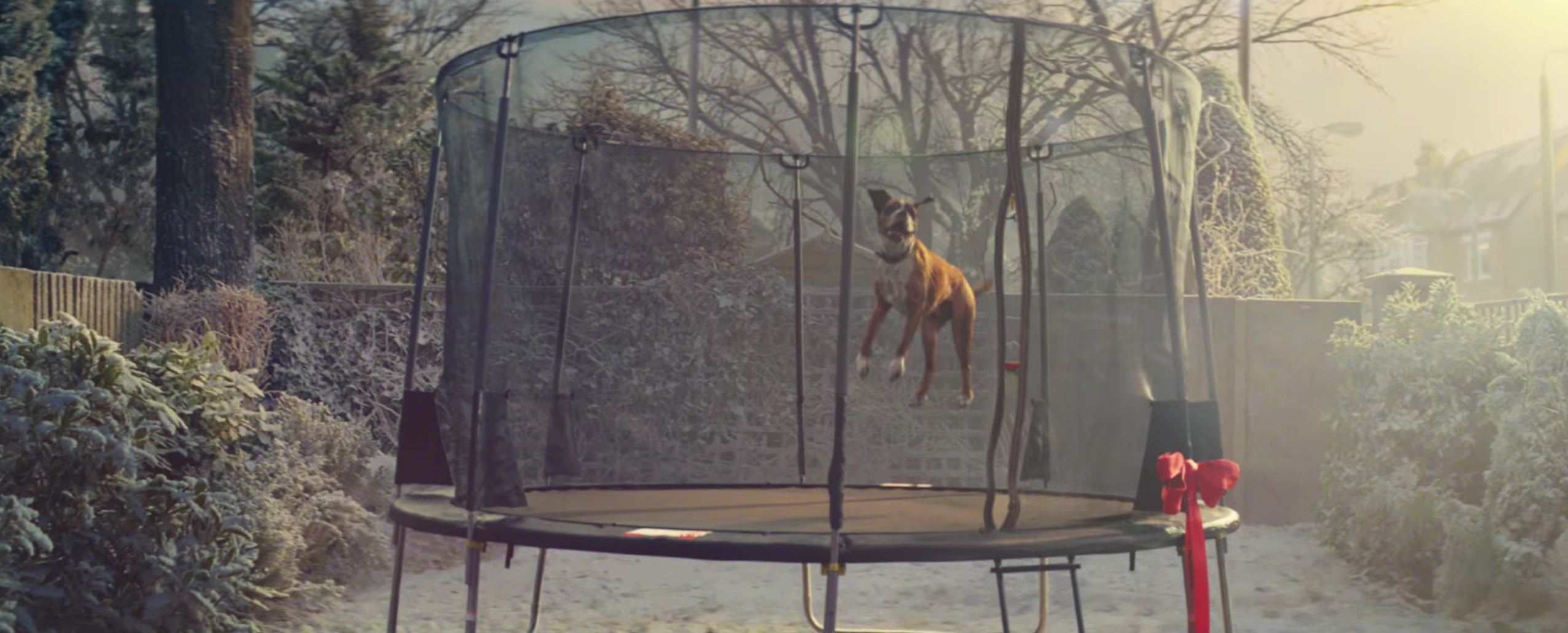 新品★ アーティストTRAMPOLINE トランポリン　Friendly dog John Lewis Christmas Ad: A Happy Dog on a Trampoline | Fortune