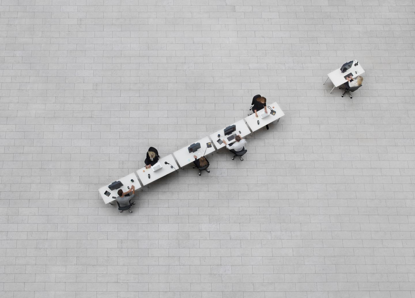 line business in birdsview