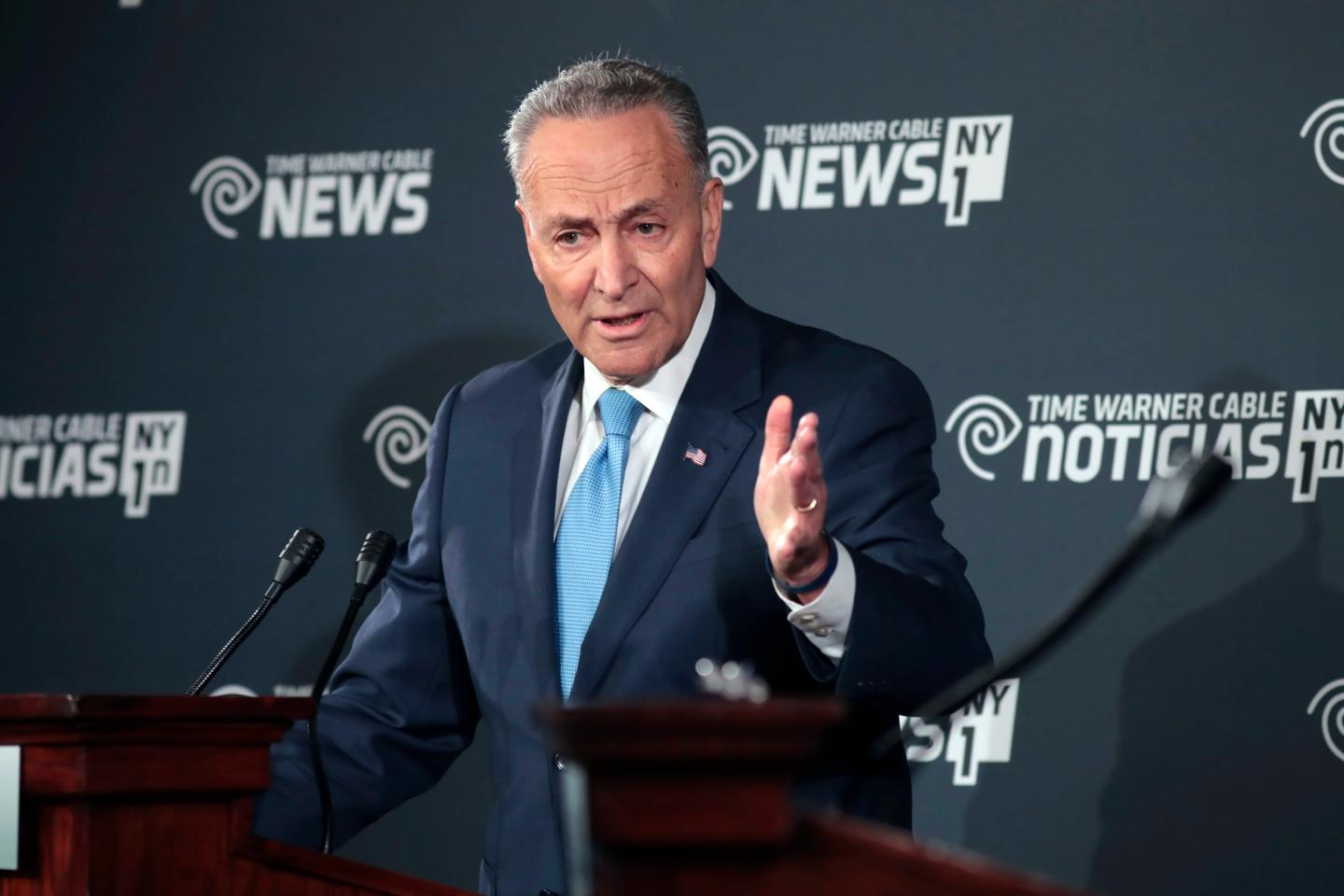 Senate 2016 Schumer