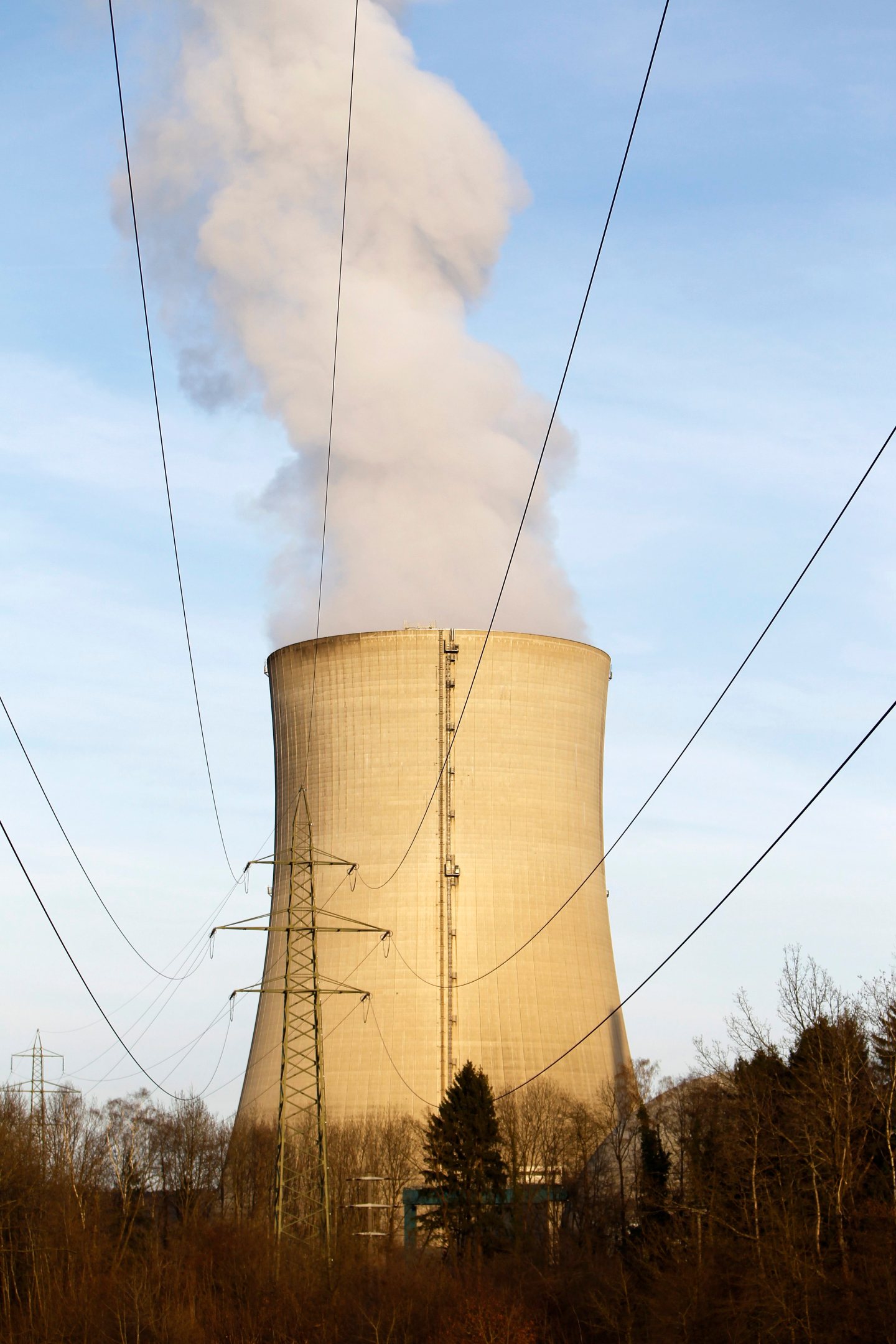 Switzerland Nuclear Referendum