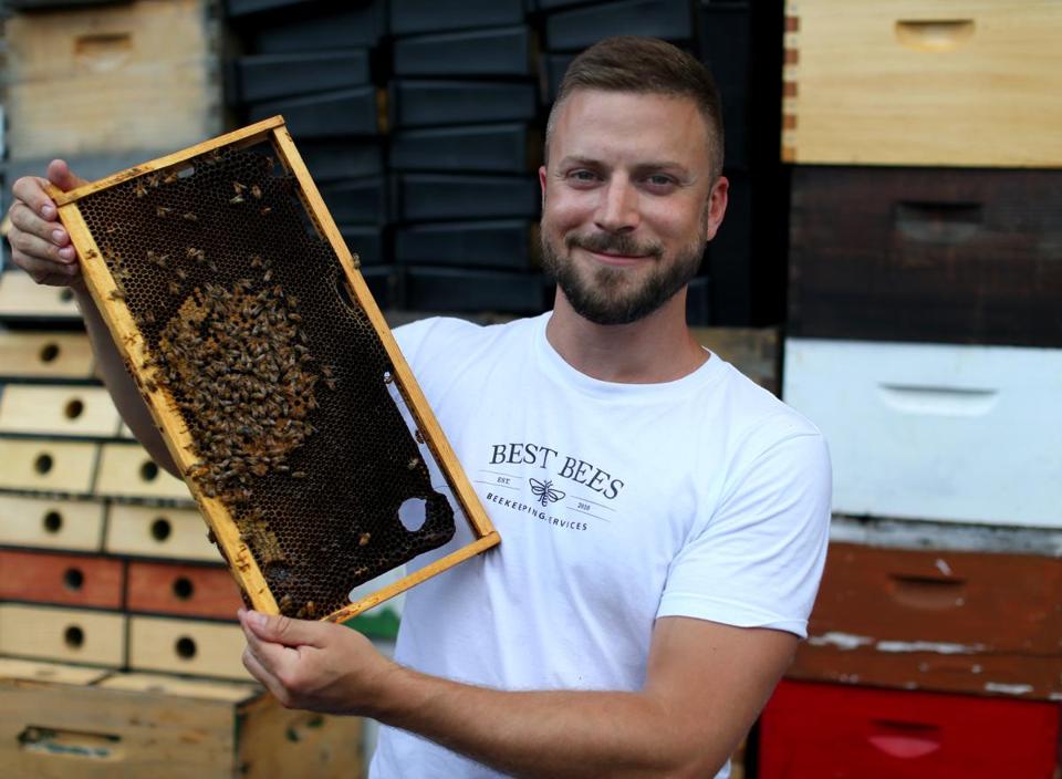 This Company Delivers Honey Bees Straight to Your Home