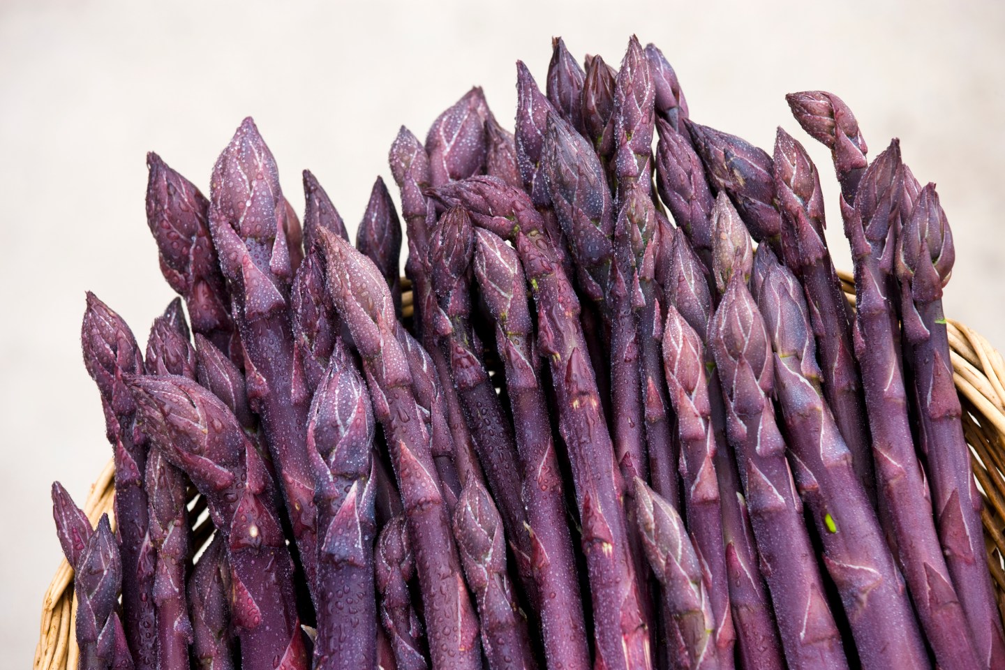 Purple Asparagus Grows, Vale of Evesham