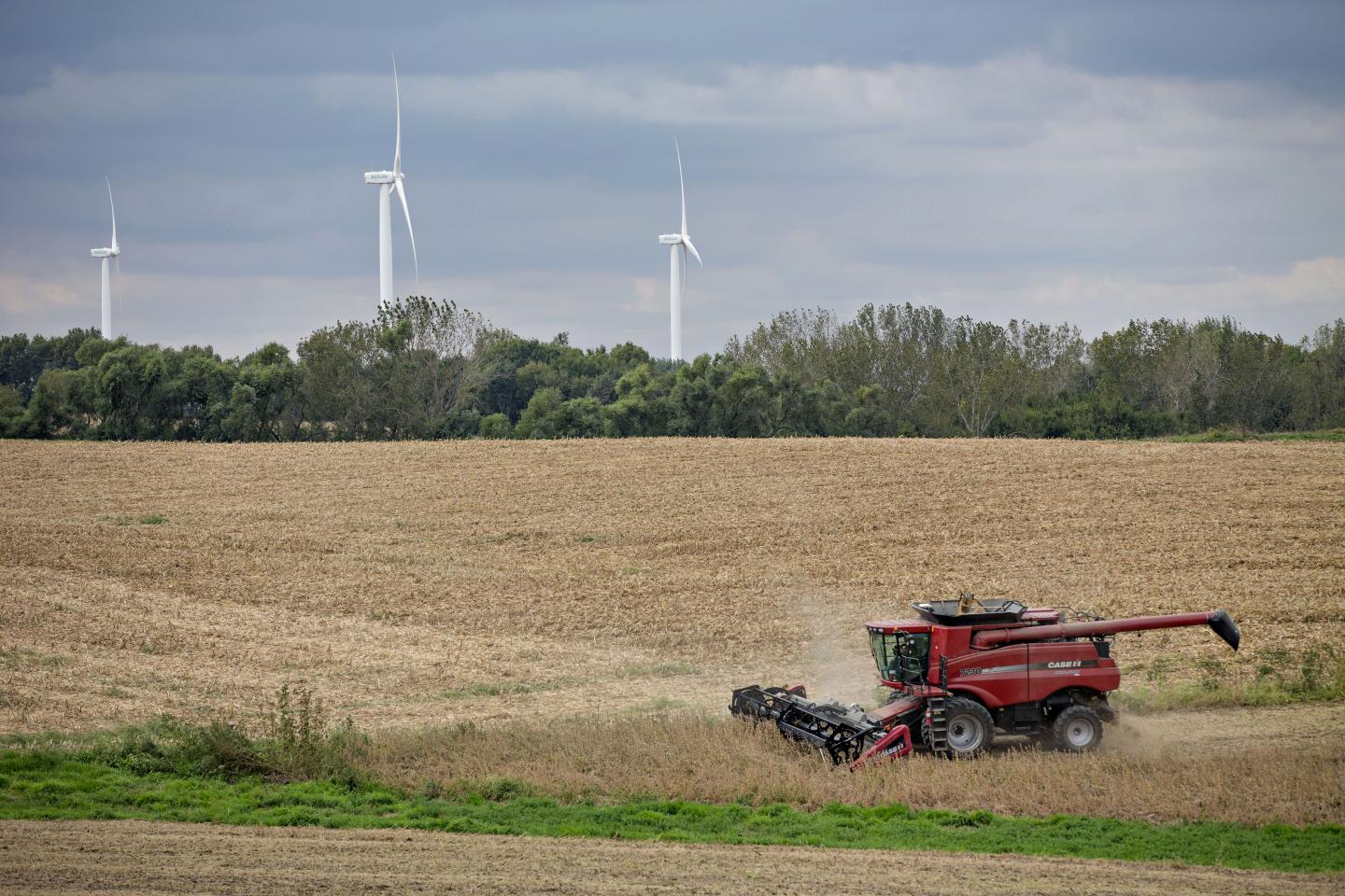 Soybean Harvest As Department Of Agriculture Releases Farm Prices
