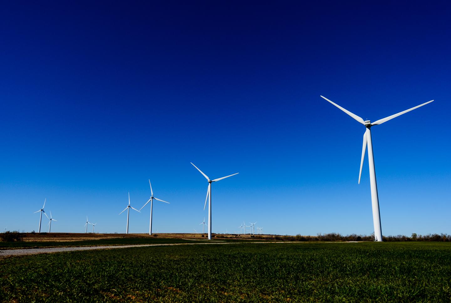 Google Poised to Meet Renewable Energy Goal