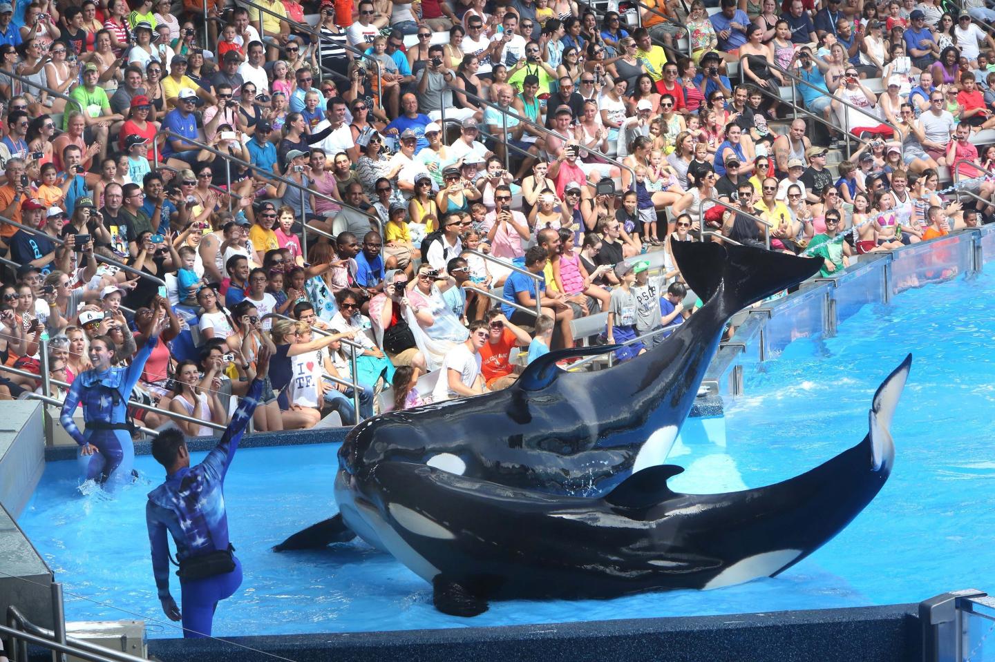 Some aquariums scaling back amid controversy