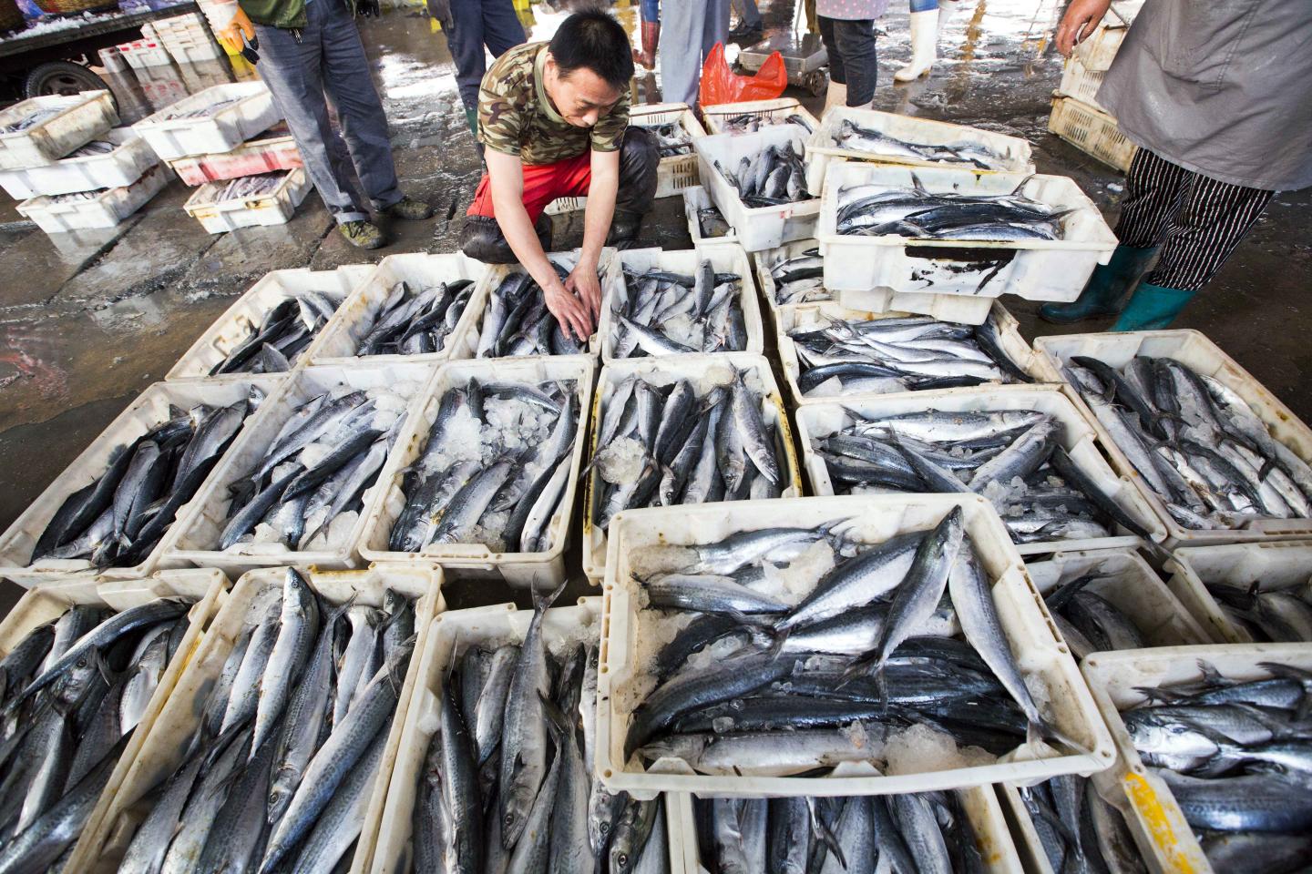 CHINA-ECONOMY-INFLATION-SEAFOOD