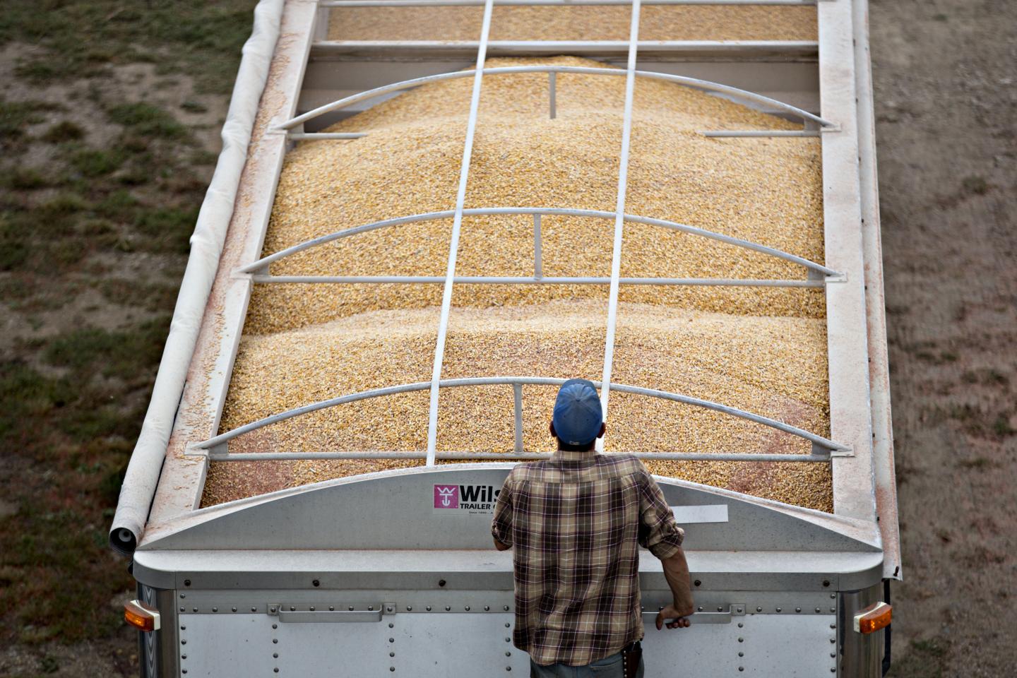 Monsanto Co. Products Ahead Of Earnings Figures