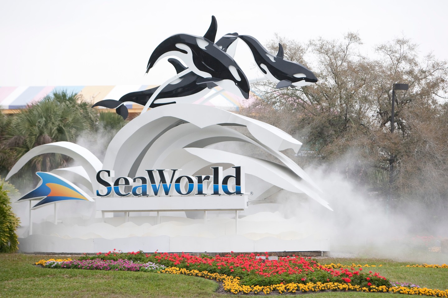 Killer Whale Kills Trainer Before Show At SeaWorld