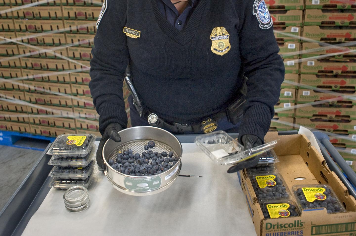 The First U.S.-Mexico Joint Pre-Inspection Facility As Tensions Around Trade Widens