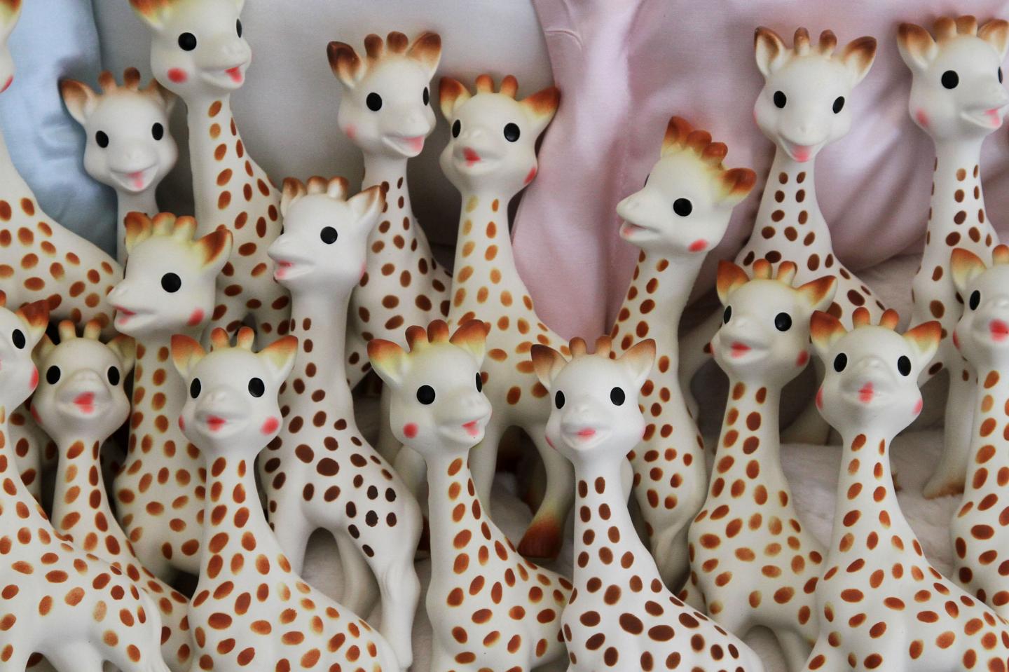 Sophie The Giraffe poses in Teri Weiss'