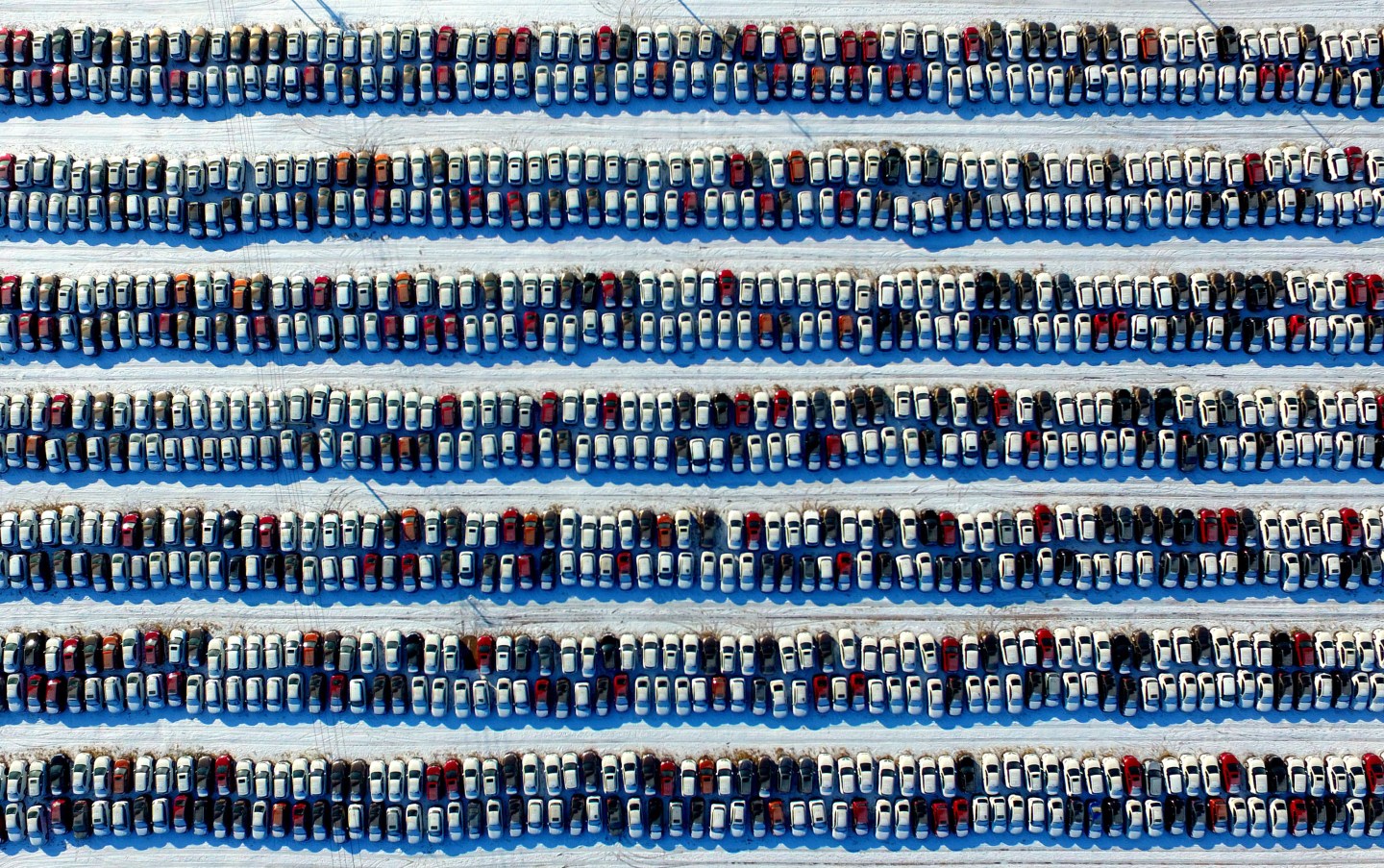 New Cars Line Up At Parking Lot In Shenyang