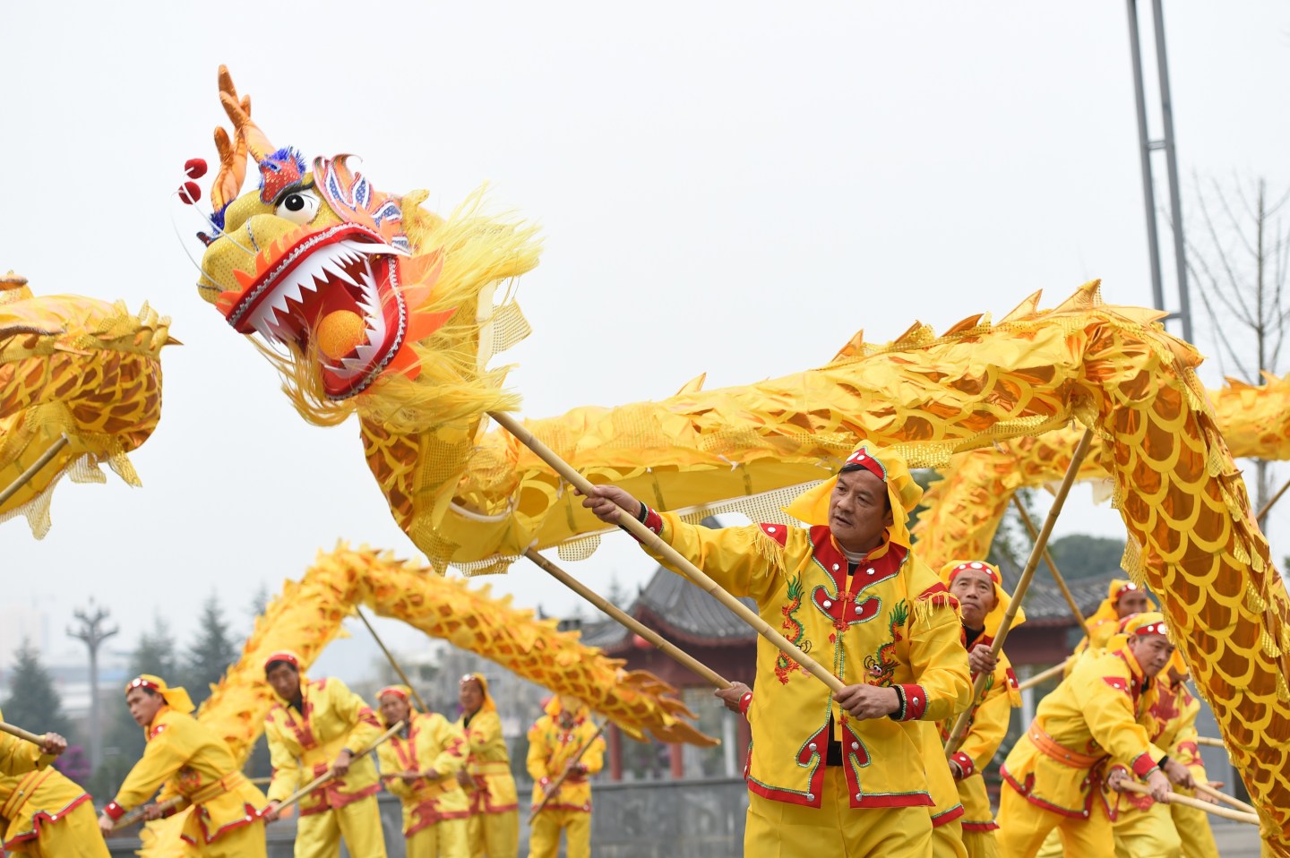 Dragon Dance And Lion Dance For Spring Festival