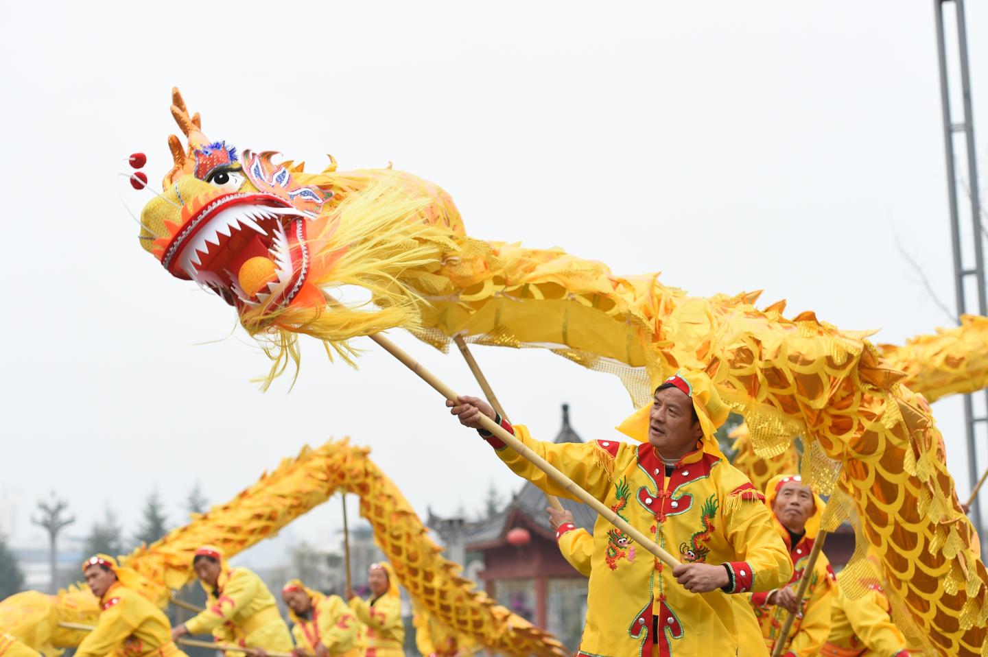 Dragon Dance And Lion Dance For Spring Festival