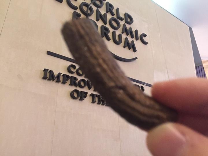 Why I Ate Food Waste in Davos