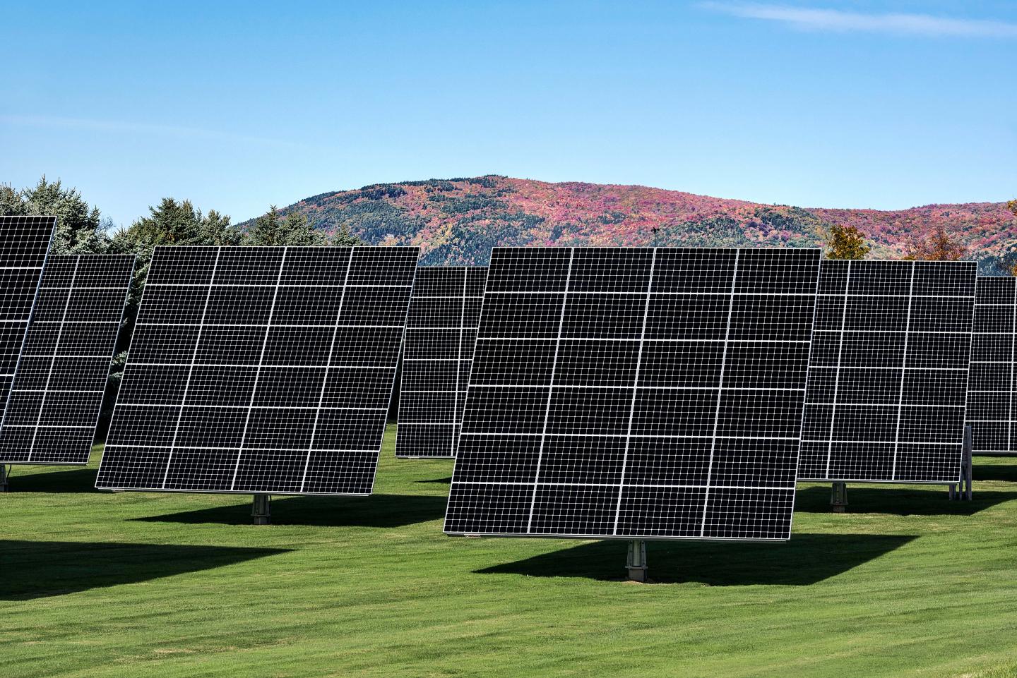 Solar panel array on solar farm