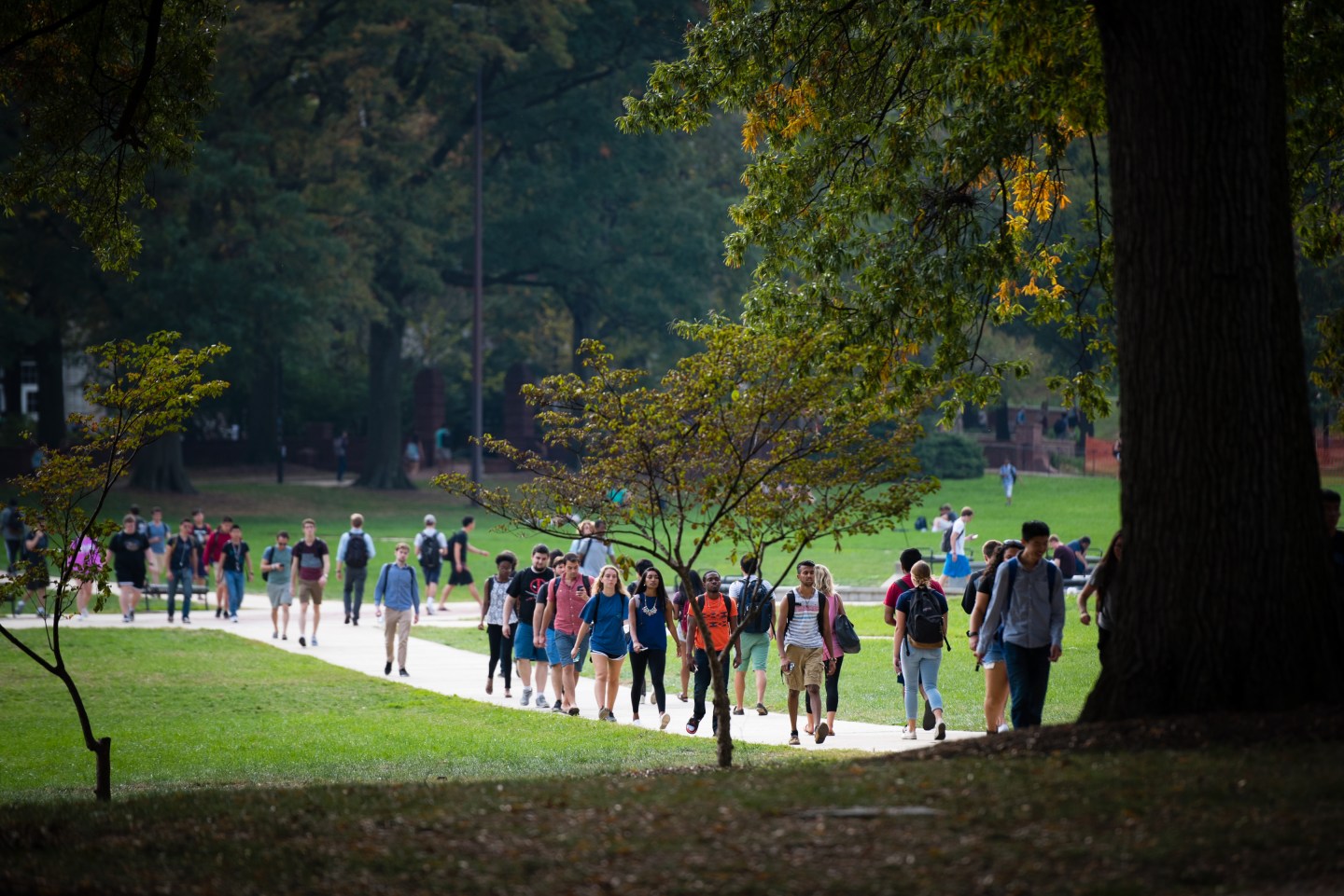 The University of Maryland College Park is pictured on Thursday October 20, 2016.