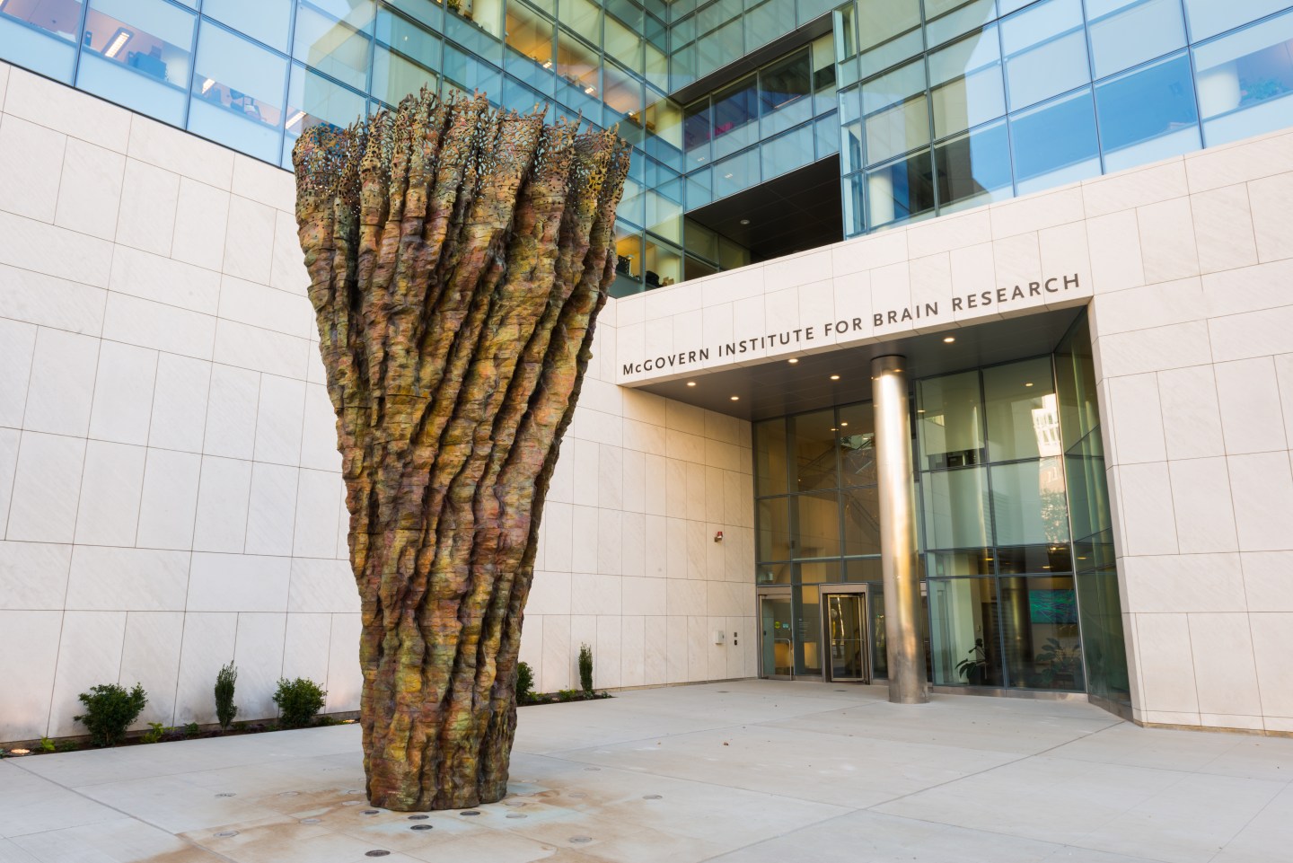 MIT Gets $20 Million to Study Autism