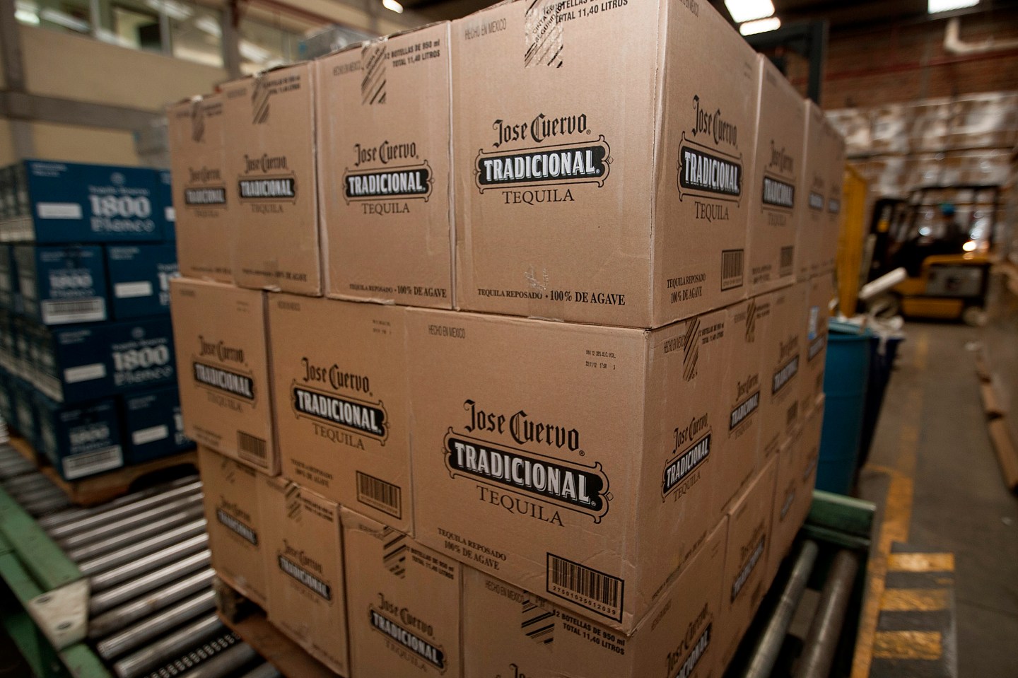 Jose Cuervo Agave Plant Harvesting and Tequila Production