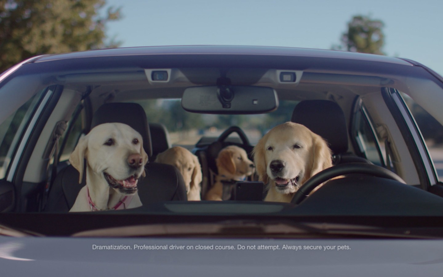 Subaru Barkleys TV ad
