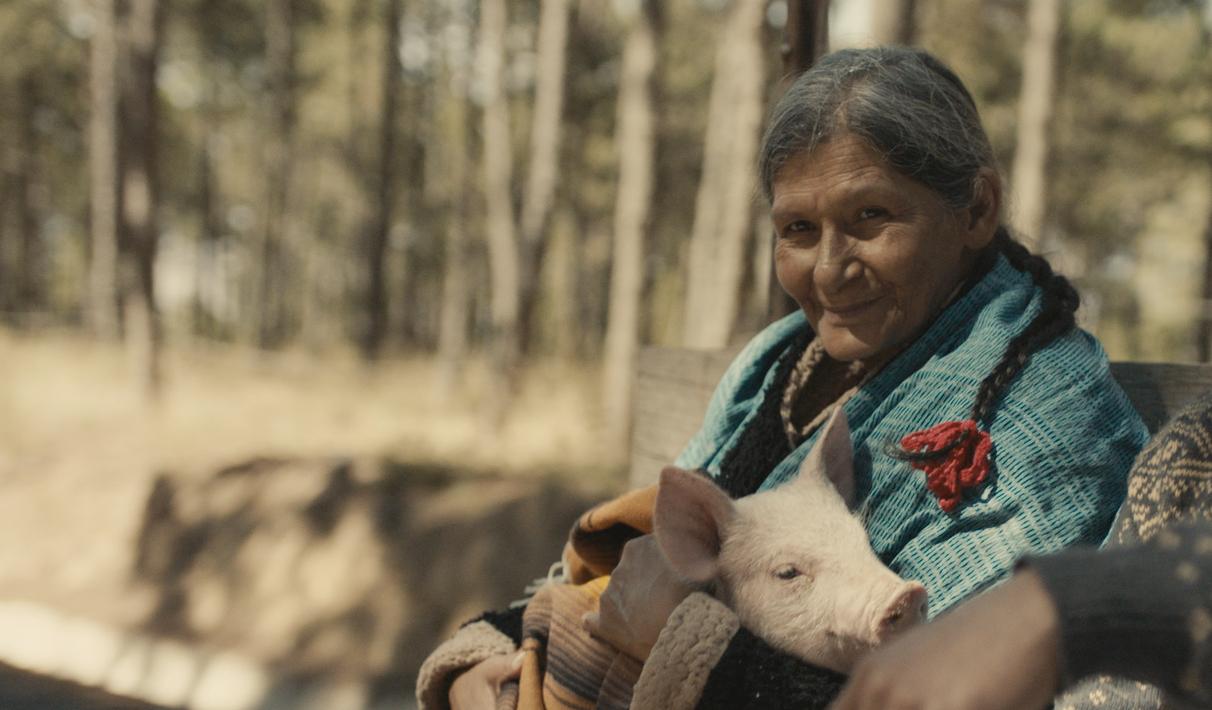 84 Lumber CEO Says Controversial Super Bowl Ad Was Not Pro-Immigration