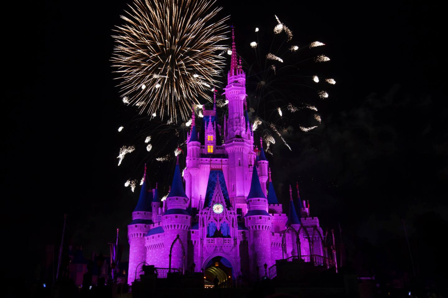Fireworks Over Cinderella's Castle at Disney's Magic Kingdom