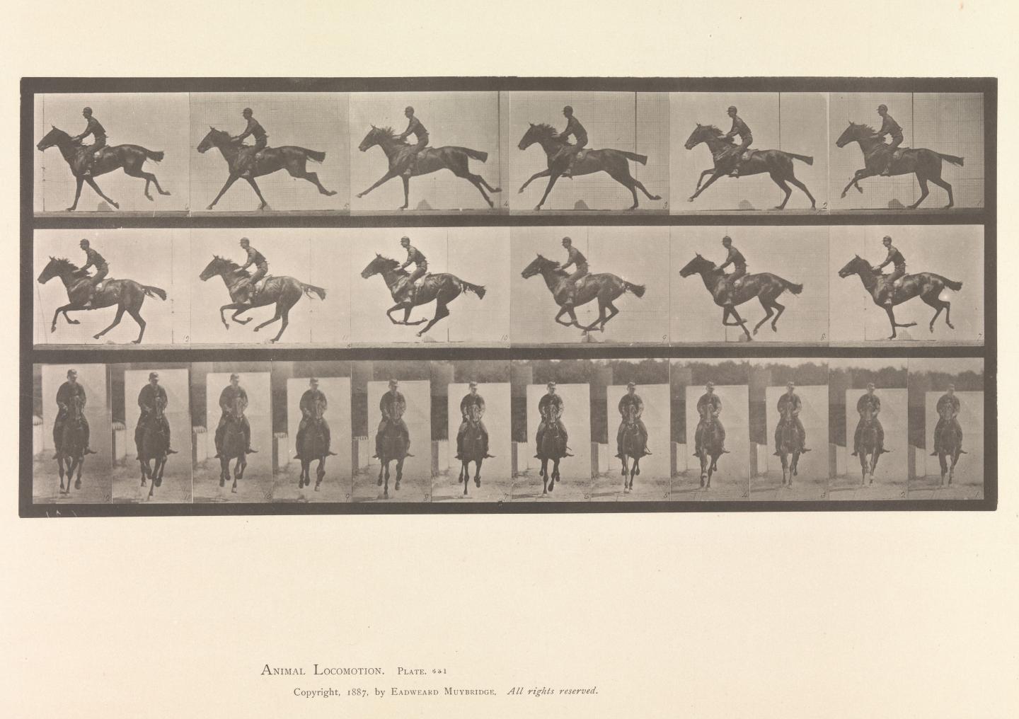 The Met Makes 375,000 Public Domain Images Available